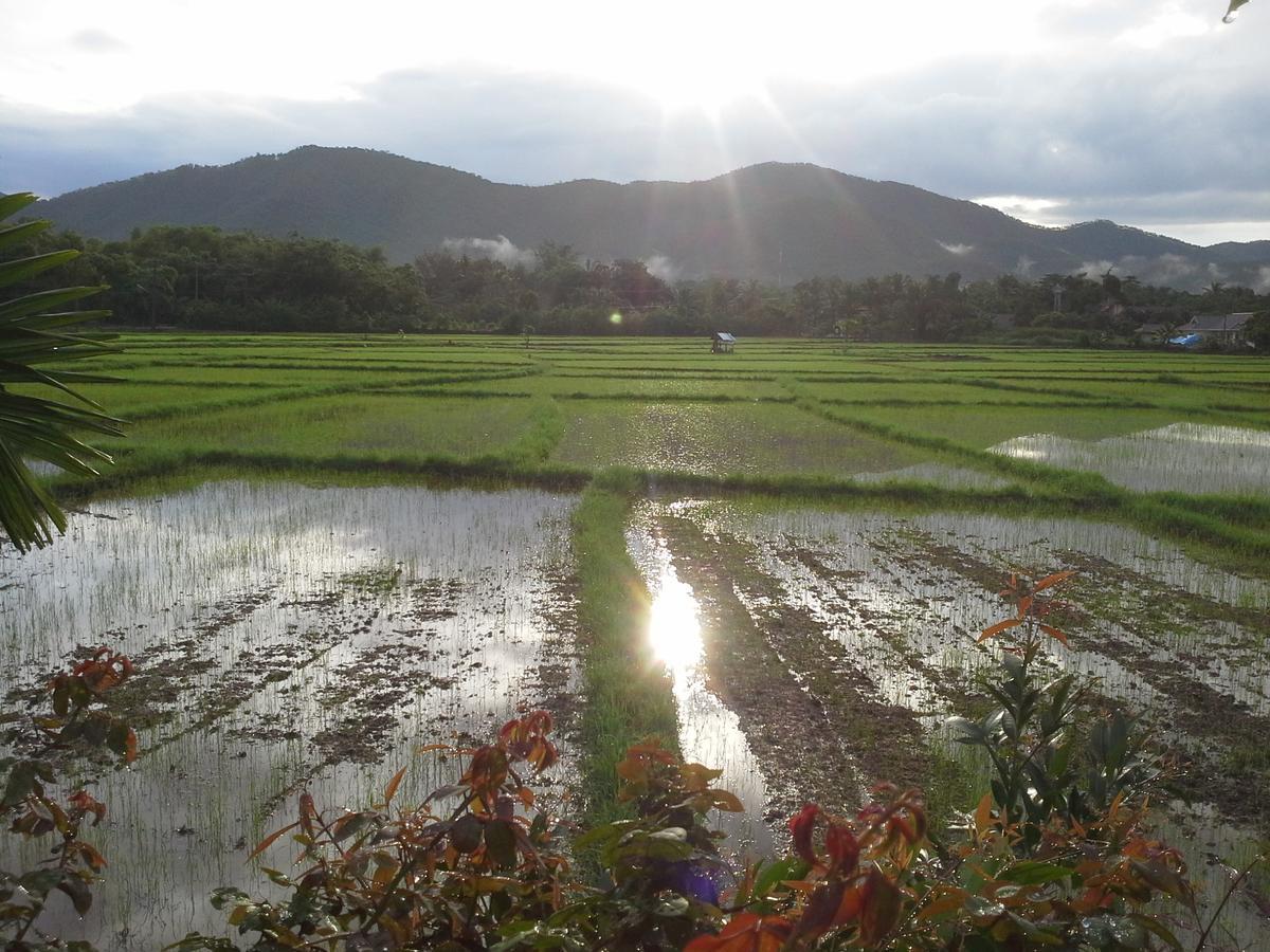 Jamjuree Garden Bed & Breakfast Ban Thung Ma Nieo Ngoại thất bức ảnh